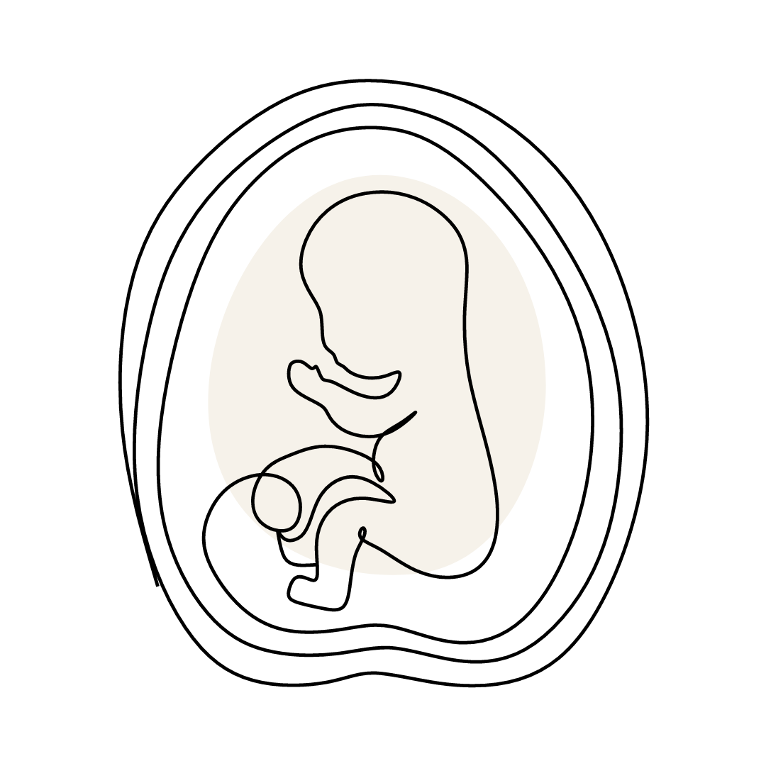 Je bekijkt nu Echo & Prenatale screening